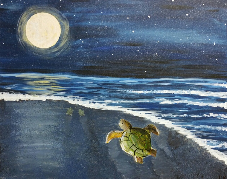 Turtles by Moonlight